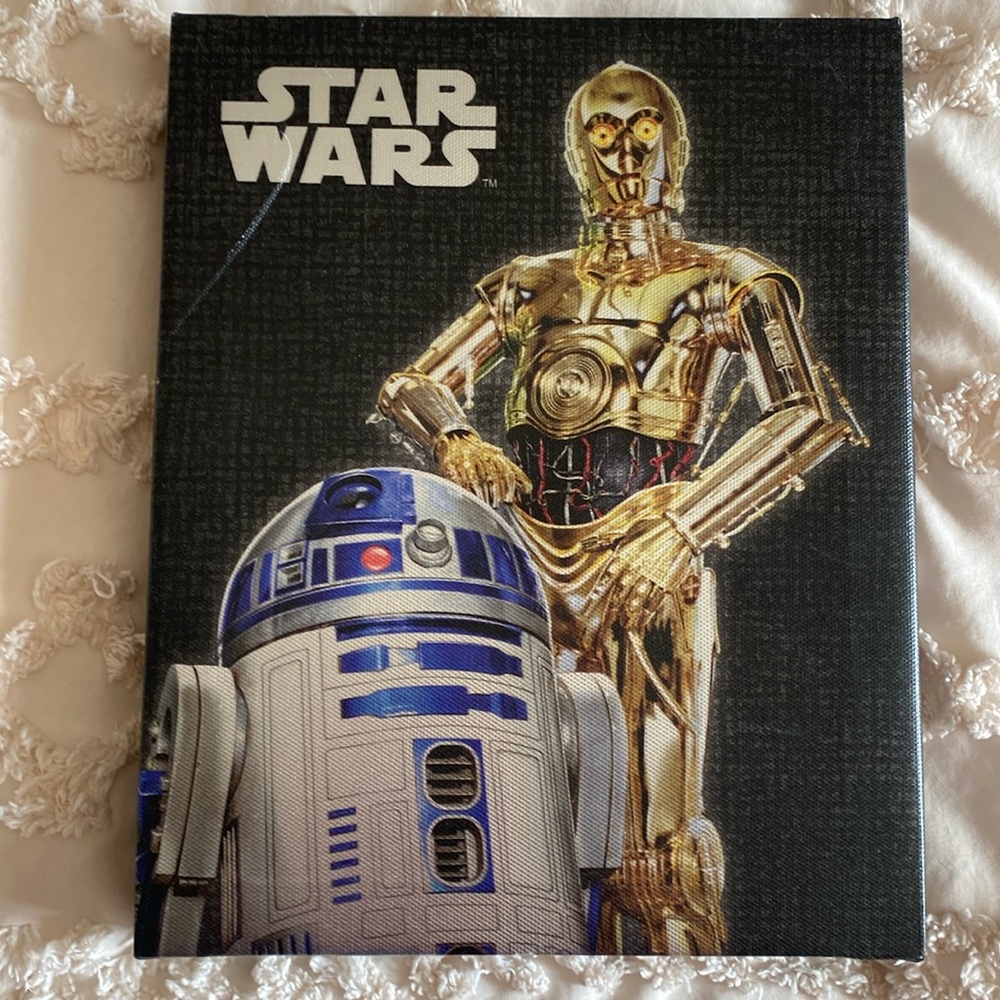 Star Wars Canvas Print (15" x 19" x 1") Damage shown in picture.